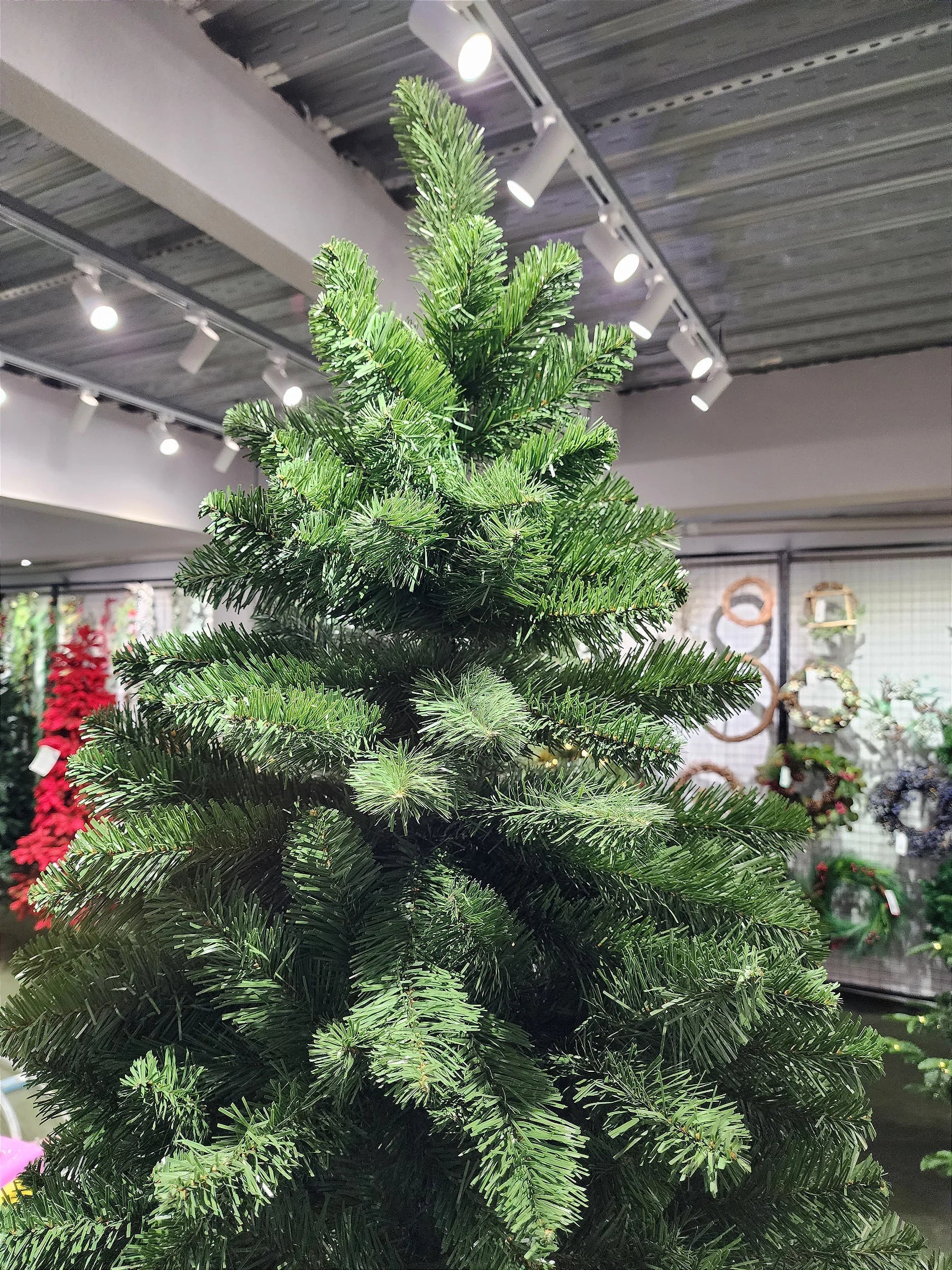 Árvore de Natal Tradicional Imperial Max 1,80m 514 Galhos + 500 Leds de brinde