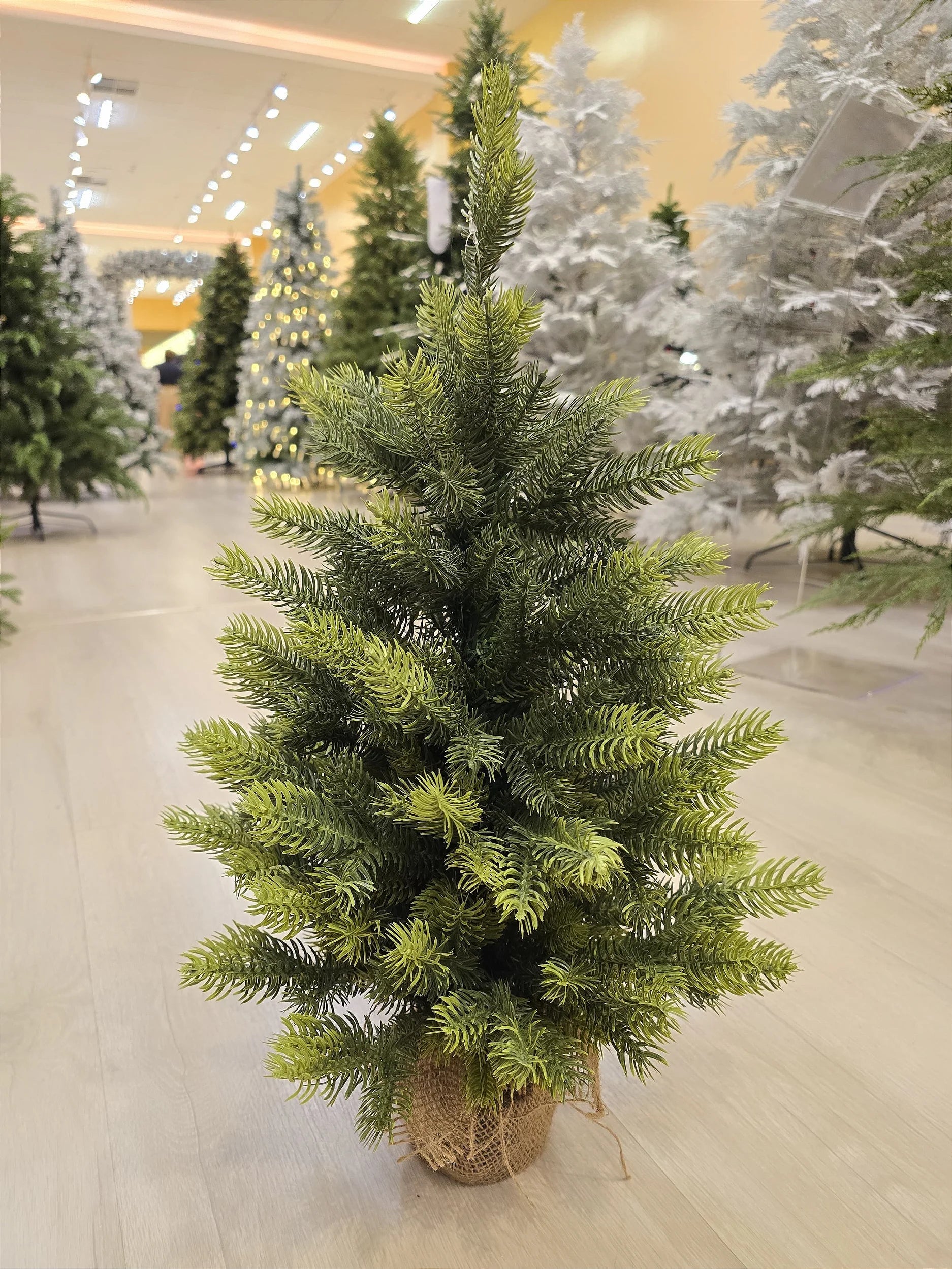 Árvore de Natal Pinheiro Realista 60cm 68 Galhos