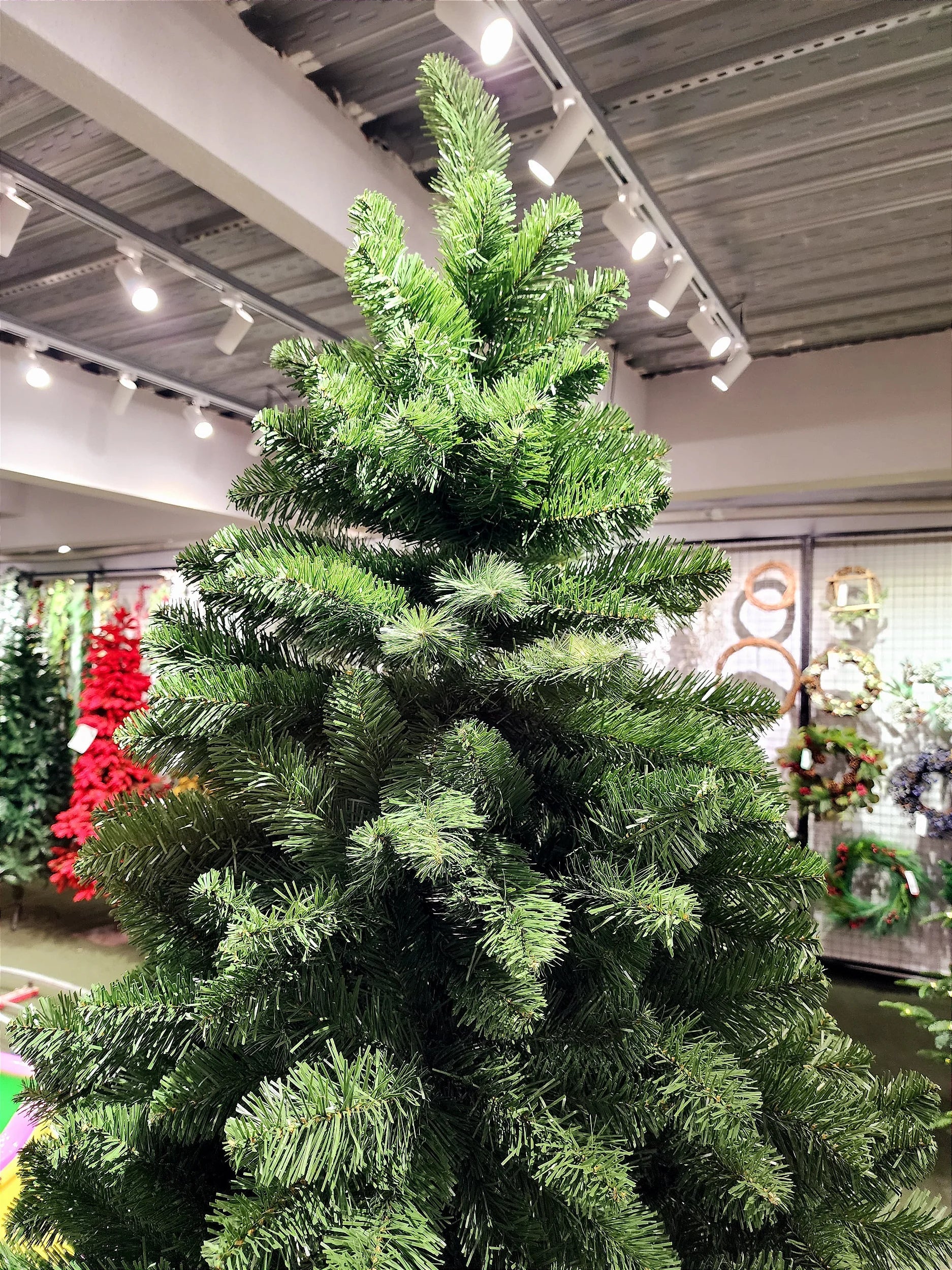 Árvore de Natal Tradicional Imperial Max 1,80m 514 Galhos + 500 Leds de brinde