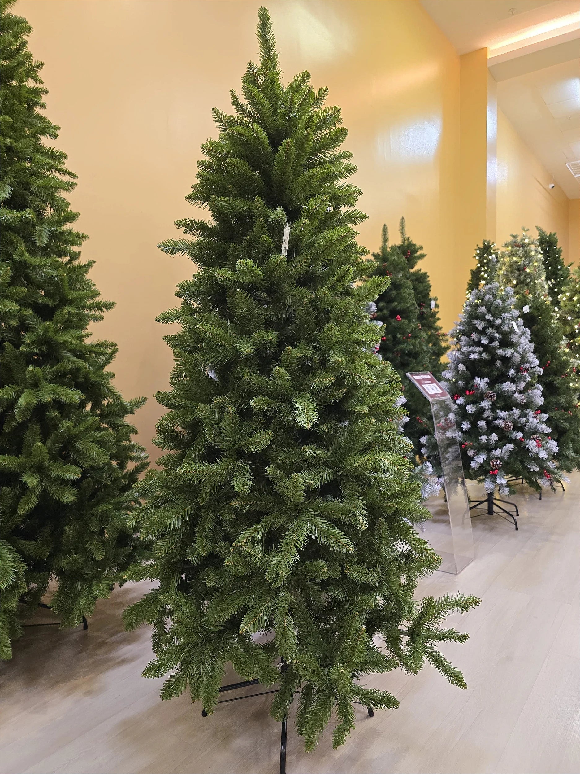 Árvore de Natal Slim Bryant 1,80m 762 Galhos + 500 Leds de brinde