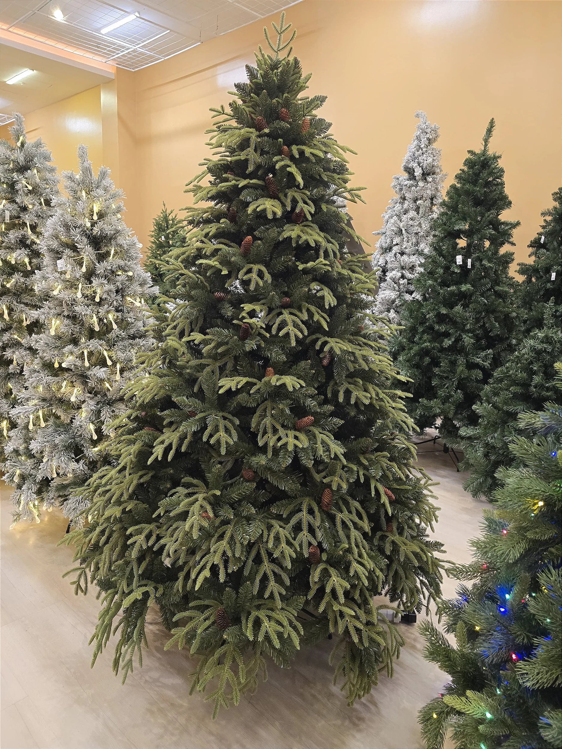 Árvore de Natal Pinheiro Super Realista Santorini 2,10m 4428 Galhos + 1500 Leds de brinde