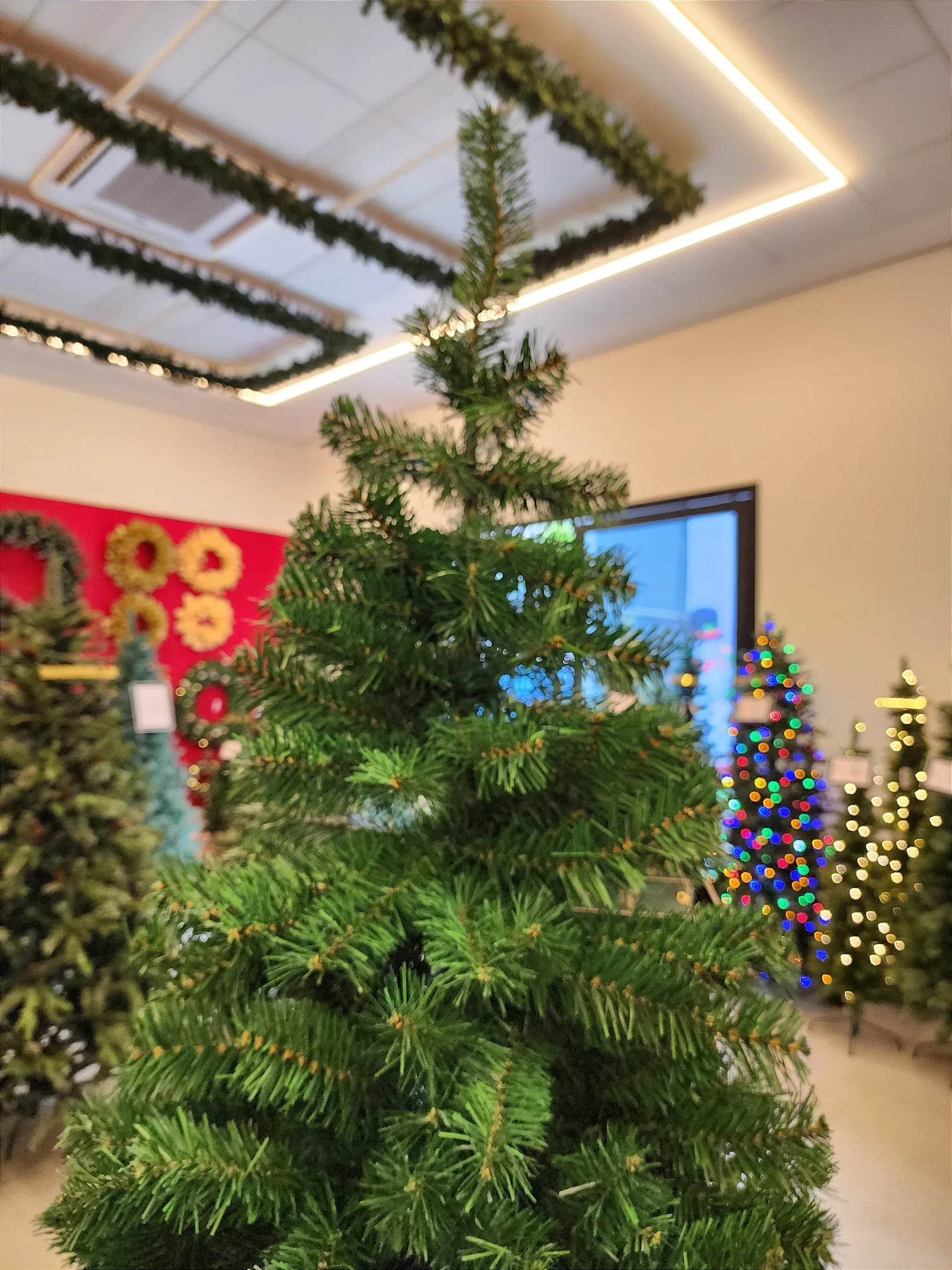 Árvore de Natal Tradicional Copacabana 2,40m 1000 Galhos + 500 Leds de brinde